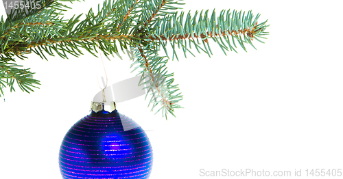 Image of christmas ball on branch