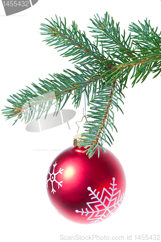Image of ball hanging from spruce christmas tree