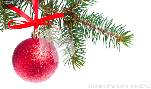 Image of red christmas ball hanging from tree