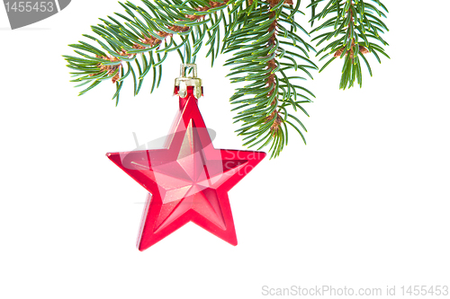 Image of red christmas star hanging from tree