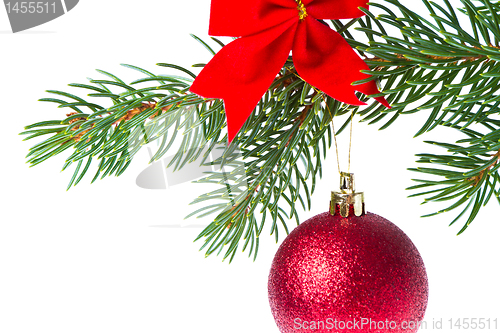 Image of christmas ball on branch