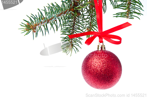 Image of red christmas ball hanging from tree