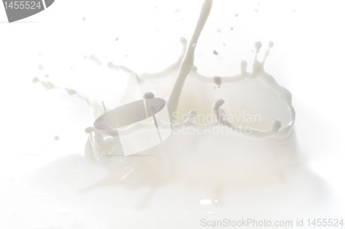 Image of milk splash