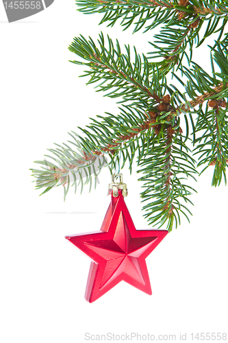 Image of red christmas star hanging from tree