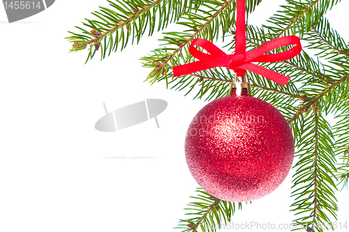 Image of red christmas ball hanging from tree