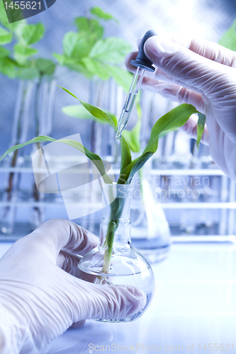 Image of Plants and laboratory 