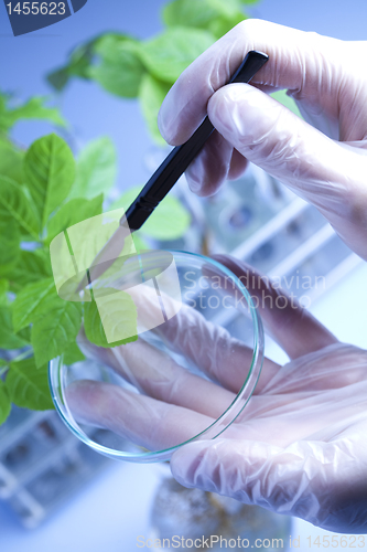 Image of Plant laboratory