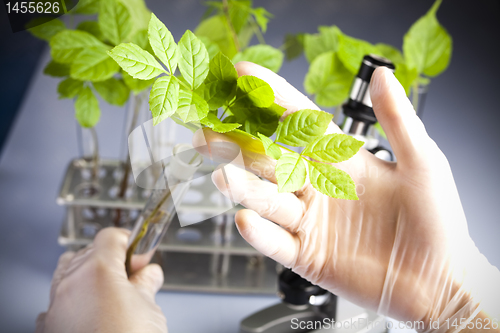 Image of Plant laboratory