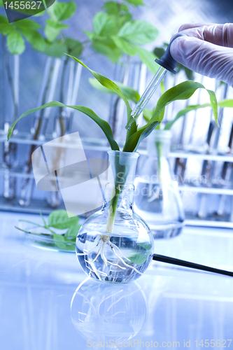 Image of Plants and laboratory 