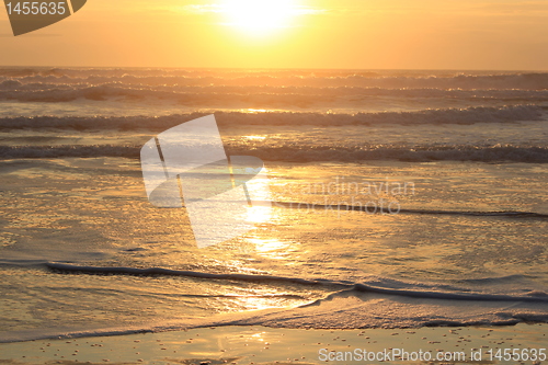 Image of winter beauty