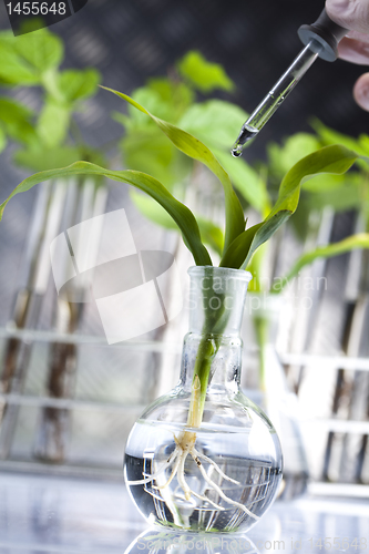 Image of Plant laboratory