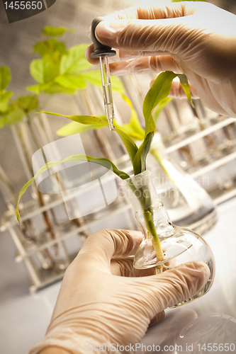 Image of Floral science in  laboratory 