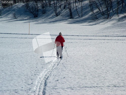 Image of Cross country skiing in Norwegian mountains