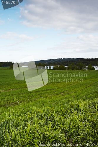 Image of Field