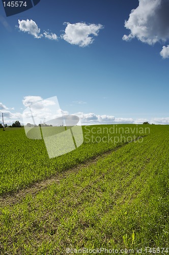 Image of Field