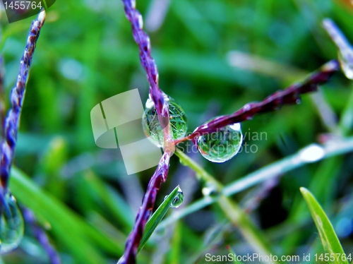 Image of Raindrops