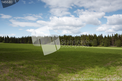 Image of Field
