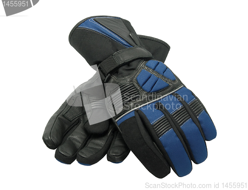 Image of Gloves