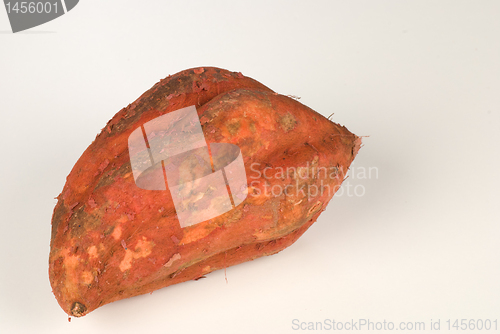 Image of Sweet potato