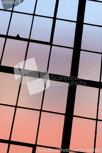 Image of Window
