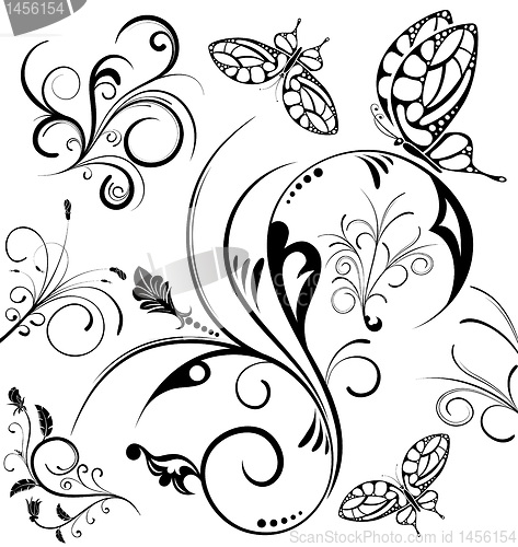 Image of Collect flower border