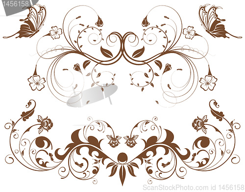 Image of Collect flower border
