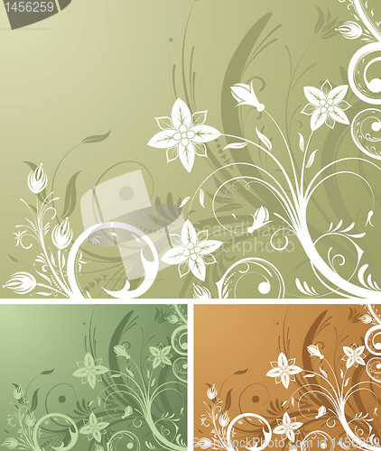 Image of Flower background