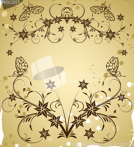 Image of Collect flower border