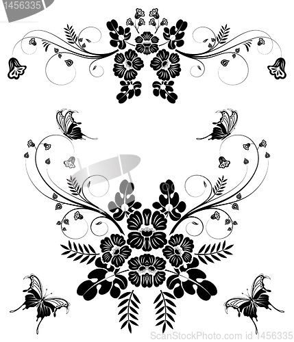 Image of Collect flower border