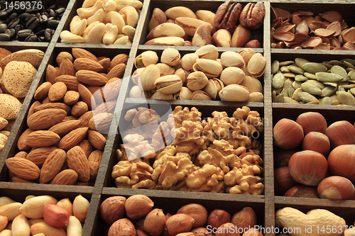 Image of Nuts