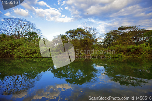 Image of Nature in Guanacaste