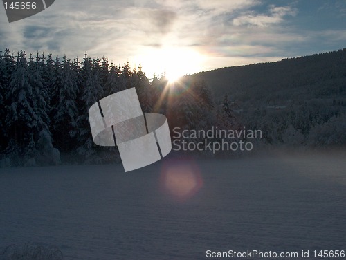 Image of Winter sun