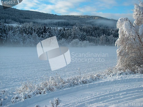 Image of Winter fields