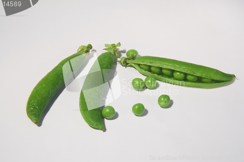 Image of Peas