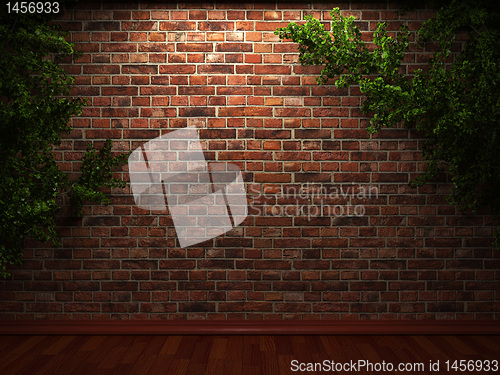 Image of illuminated brick wall and ivy