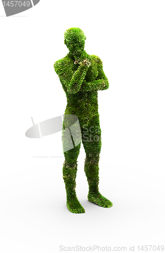 Image of Herbal man made in