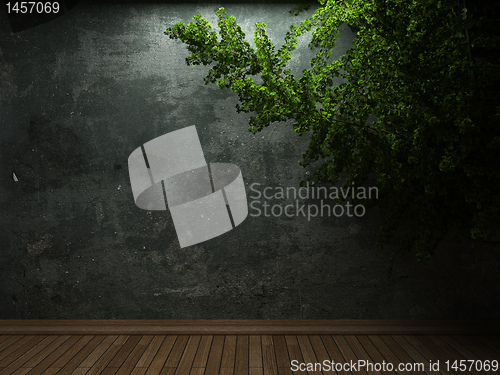 Image of old concrete wall and plant
