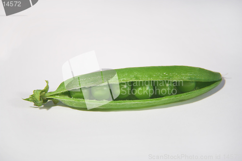 Image of Pea pod