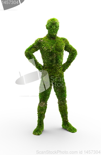 Image of Herbal man made in