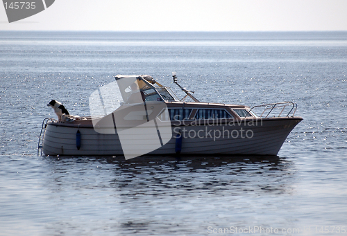 Image of Boat and dog