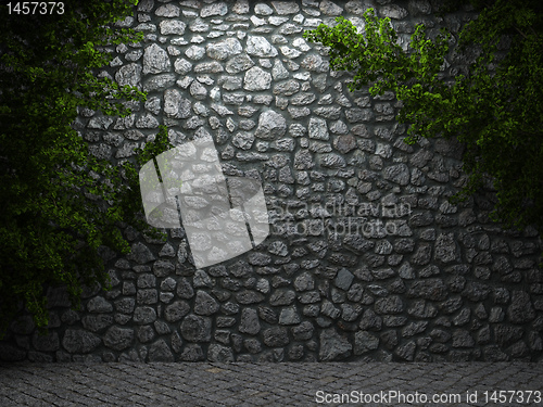 Image of illuminated stone wall and ivy