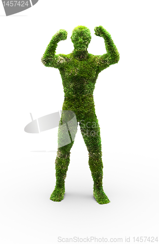 Image of Herbal man made in