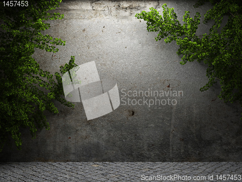 Image of old concrete wall and plant