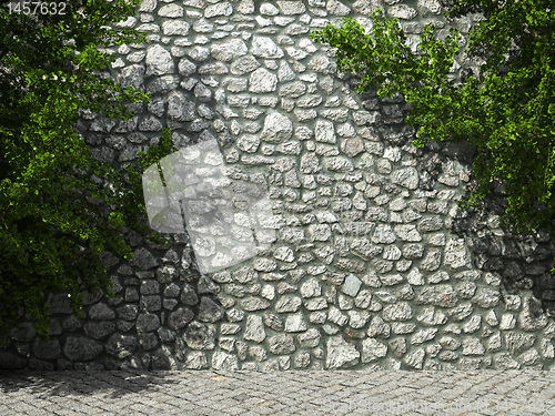 Image of illuminated stone wall and ivy