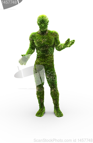 Image of Herbal man made in