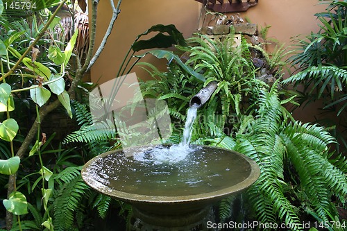 Image of Tropical fountain