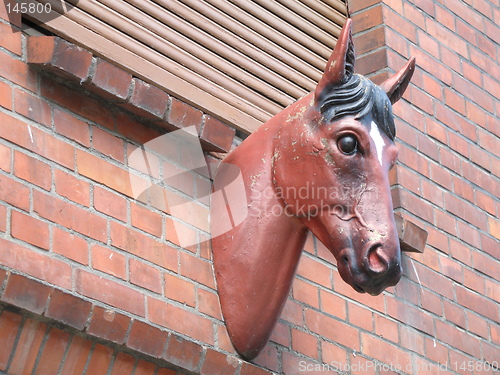 Image of wall mounted horse head