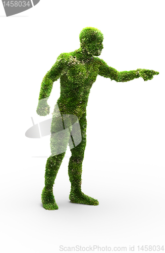 Image of Herbal man made in
