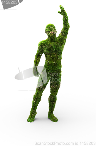 Image of Herbal man made in