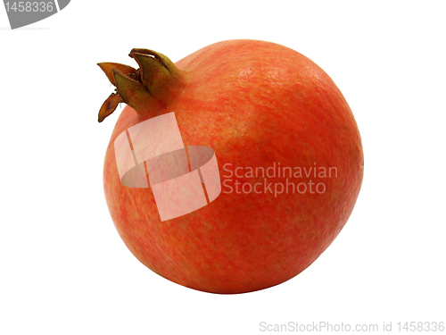 Image of pomegranate